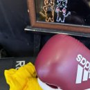 엄지태권도체육관 | [Boxing] 1주차 : 복린이가 되다!