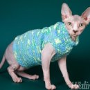 힐링동물의료센터 이미지