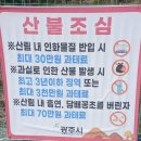 가나벌초대행