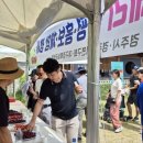 경주 체리 이미지