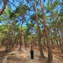 송정 물레방아 휴게소 이미지