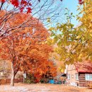 씨엠캠프 이미지