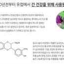 우리동네GYM 이미지