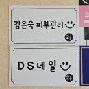 디에스네일