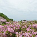 지장천로 이미지