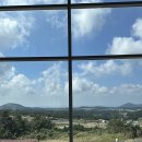 새빌 | 가을제주여행 애월 핑크뮬리 명소 새별오름 새빌카페 방문후기