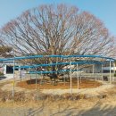 대구면사무소 이미지