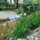 구지공원 이미지