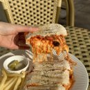 베스트애견 이미지