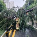 석사파워점핑태권도장 이미지