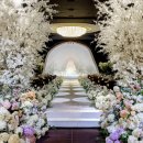 라이프힐 이미지