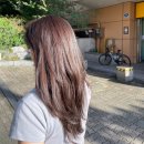 지우헤어 죽전점 | 대구 웨촬 염색 유키니언 죽전점 지우 실장님｜탈색없이 모카브라운 염색 내돈내산 후기 (웨촬 사진 有)