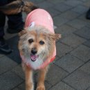 리버하우스 이미지