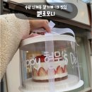 수원-1456 | 수원 인계동 카페 멜로모니 | 비주얼 최고, 정말 맛있었던 레터링 딸기케이크 내돈내산 생일케이크 후기