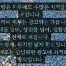 베스트광고대행