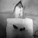 24시 더나은 동물메디컬 센터 이미지