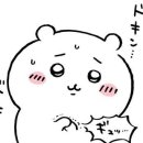 모범돼지 이미지