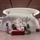 효성힐링분식&중식 | 새해맞이 힐링하러 다녀온 고양 스타필드 아쿠아필드 찜질스파 후기｜할인정보 포함