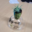 낫개작은도서관 이미지