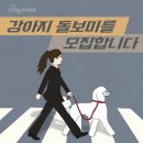 커몽도그