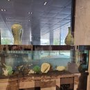 제이비파파 | 대구 가성비 호텔 추천 [제이비관광호텔] 아기와 함께 방문한 후기 및 조식 정보