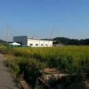 도척면-1 이미지