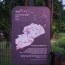 소요생활체육공원 배드맨턴장 | 경기도 수원 밤에 가볼만한곳 야경 핫플 나들이 서호공원 둘레길 추천