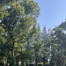 회원동115 | 토익시험장 후기