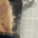 남양나무약국 이미지