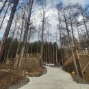 지에스칼텍스(주)언덕주유소 | 횡성 신생캠핑장 스므나리~또 가보고 싶은곳 B15번후기