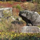 왕바위공원 이미지