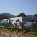 광양수영장 이미지