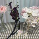 도곡로62길 | [오르네먼트] 웨딩부케 본식부케 (짝꿍 할인 모집 중!)