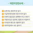 나리유치원 이미지