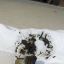 구영앞길 이미지