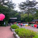 GR(울산광역시 울주군)-[석남로]-하-3 | [블챌] 체크인챌린지 #6 - 울산 울주군 '석남사'