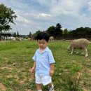 한율목장 이미지