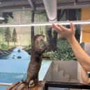 수달앤쥬 이미지