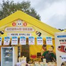 꼬맹이김밥 | 나는 너무 좋았던 2025 김천김밥축제 후기