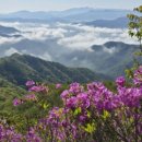 용평경로당 이미지