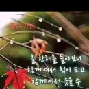 친구한잔할까
