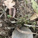 창원시청 이미지