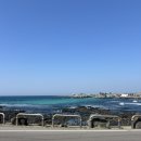 하우목동항 이미지