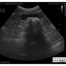 도담동물의료센터동물병원 이미지