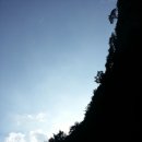 선영 미장원 네이버블로그
