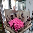 양지2호 이미지