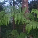 원주민민박 이미지