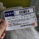 파리바게뜨 운정역점 | 한달치 약속을 1주일에 다 잡아버린 ISFJ의 6월 첫주 일상