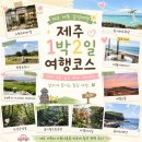백사장힐하우스 | 제주도 서쪽 1박 2일 여행 코스 추천 관광지 가볼만한 곳부터 감성 숙소까지!