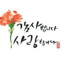 한국부부태권도 이미지